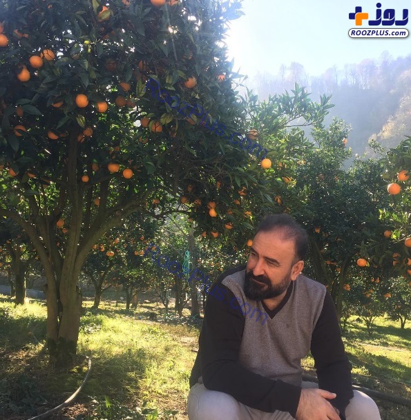 «مهران احمدی» و میوه های باغش +عکس