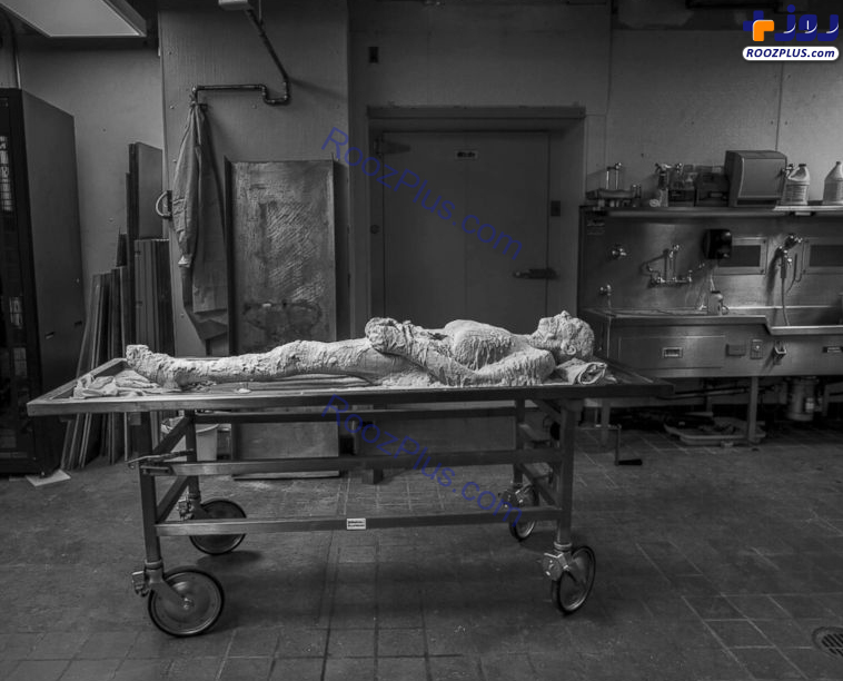 وصیت عجیب یک زن بیمار قبل از مرگ! +تصاویر