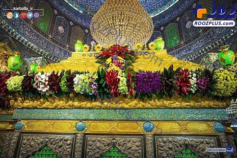 گل آرایی حرمین امام حسین(ع) و حضرت عباس(ع)به مناسبت اعیاد شعبانیه + تصاویر