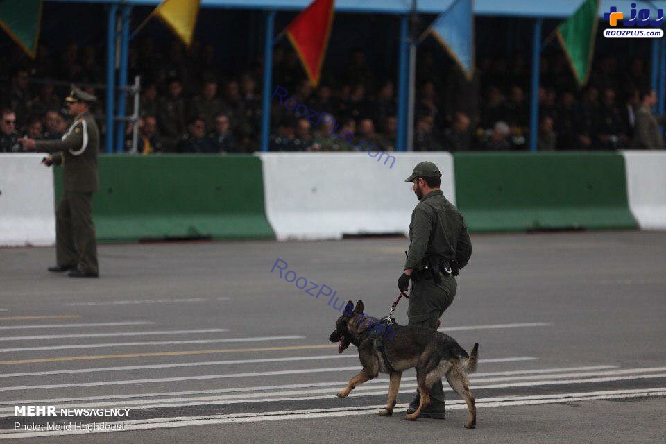 سگ‌های تیم حفاظت روحانی در رژه +عکس