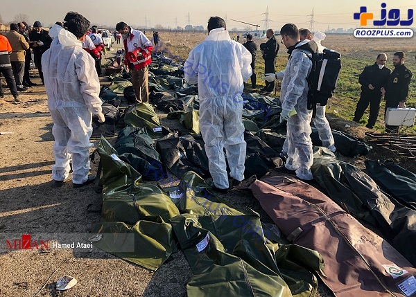 عکس/ اجساد مسافران هواپیمای سقوط کرده اوکراینی