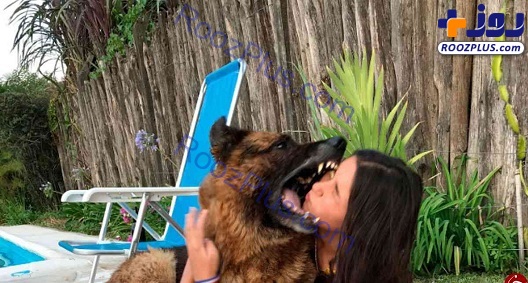 کار خطرناک دختر جوان برای گرفتن عکس یادگاری با سگ!/عکس