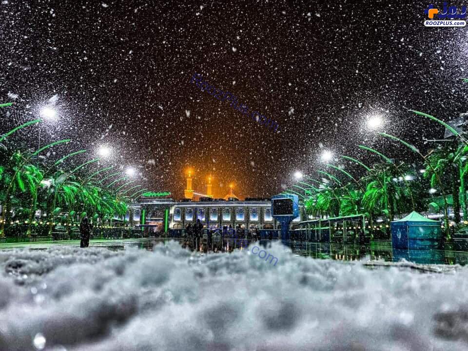 عكس/بارش برف در کربلا و بغداد