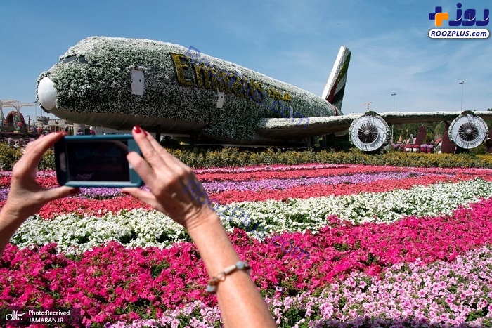 هواپیمای جت ایرباس پوشیده از گل +عکس
