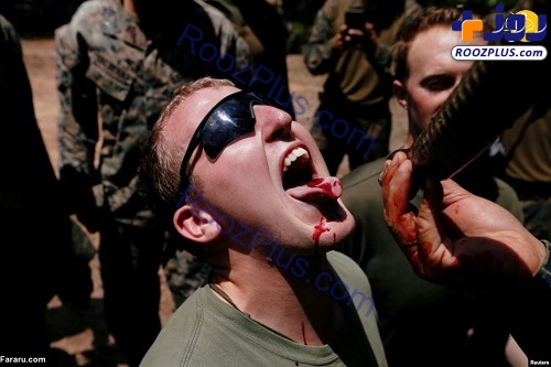 خوردن خون کبرا، عقرب و رتیل توسط سربازان آمریکایی +عكس
