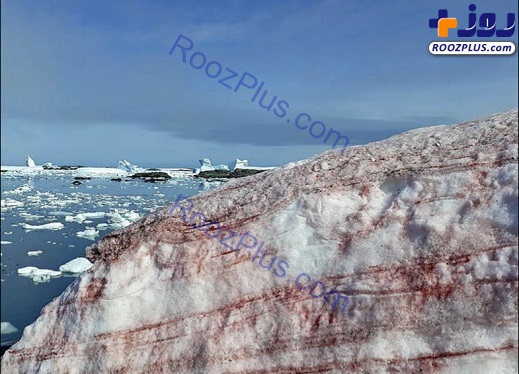 بارش برف هندوانه ای در قطب جنوب! +تصاویر