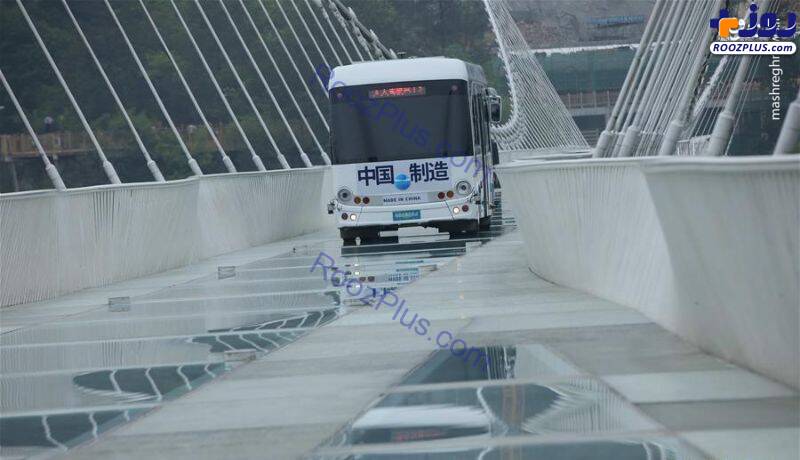 عکس/ عبور از پل شیشه‌ای معلق با اتوبوس