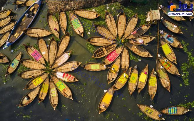 نمایی زیبا از دورهمی قایق‌های چوبی +عکس