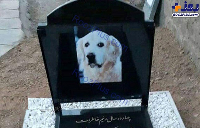 عکس/ ماجرای جنجالی مراسم خاکسپاری یک سگ در مسجد!