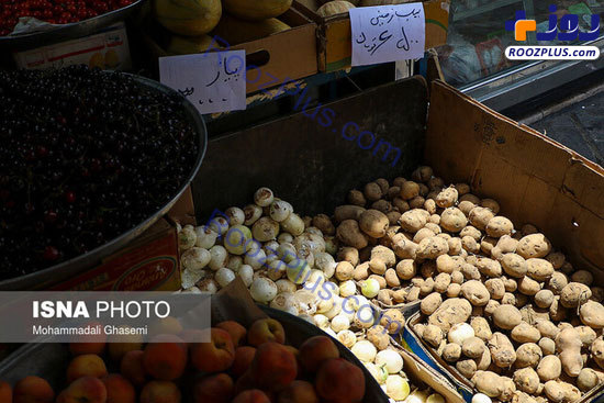 قیمت‌های عجیب سیب‌زمینی در یک منطقه! +عکس