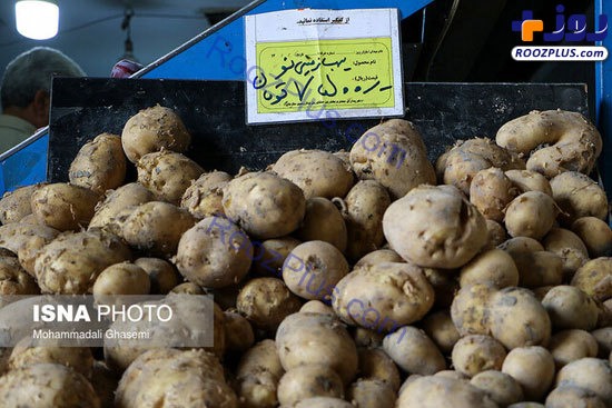 قیمت‌های عجیب سیب‌زمینی در یک منطقه! +عکس