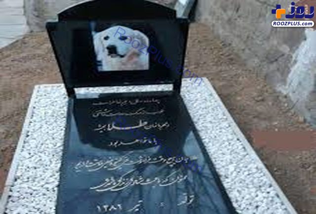 دستگیری زنی که سگش را در مسجد دفن کرده بود/عکس