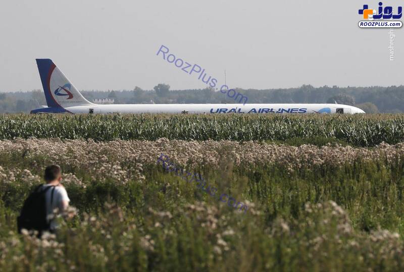فرود اضطراری هواپیمای ایرباس در مزارع ذرت! +عکس