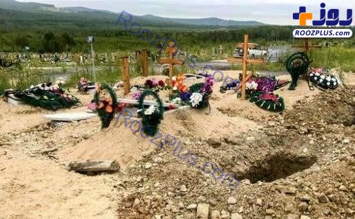 خرس گرسنه اجساد یک قبرستان را خورد!+عکس