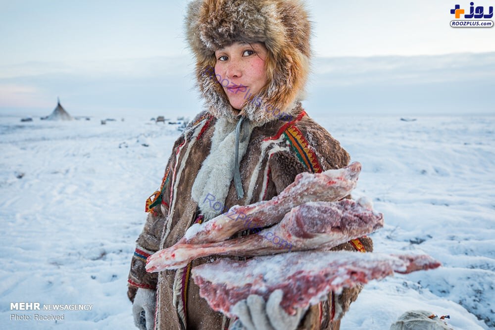 زندگی در سرزمین های قطبی روسیه‎ +عکس