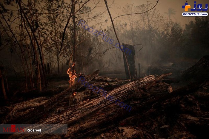تصاویر دلخراش از آتش سوزی جنگل‌های آمازون