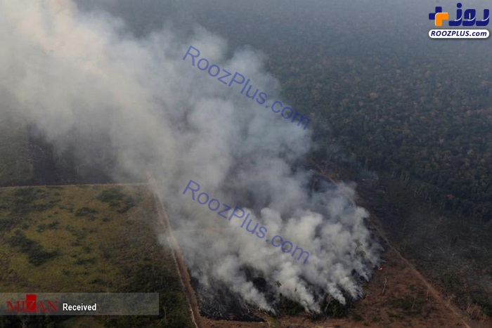 تصاویر دلخراش از آتش سوزی جنگل‌های آمازون