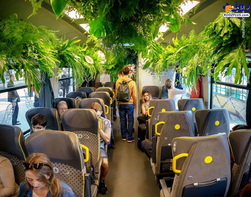قطاری با پوشش گیاهی برای روحیه مسافران+عکس
