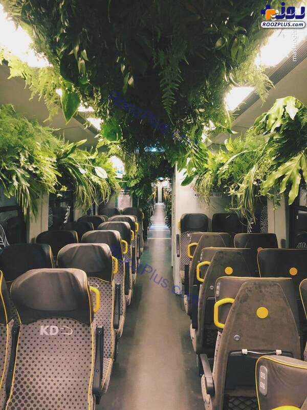 قطاری با پوشش گیاهی برای روحیه مسافران+عکس