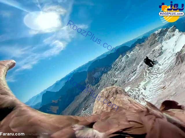 رشته کوه آلپ از زاویه دید یک عقاب +عکس