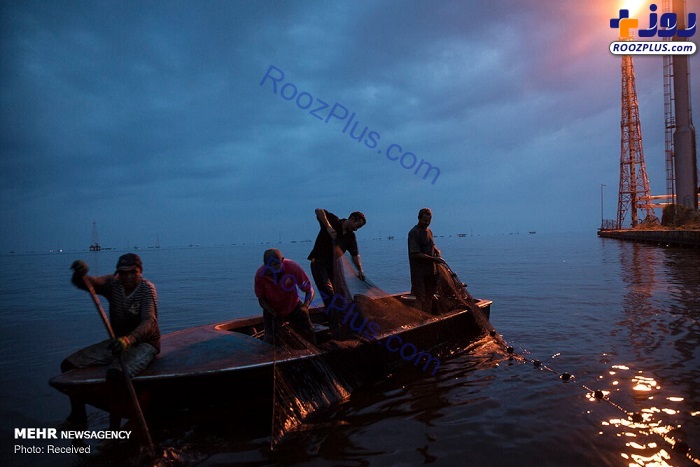 عکس/ ماهیگیری در میدان نفتی ونزوئلا