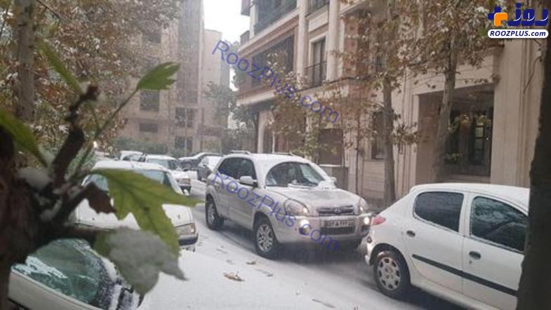 برف پاییزی تهران را قفل کرد +تصاویر