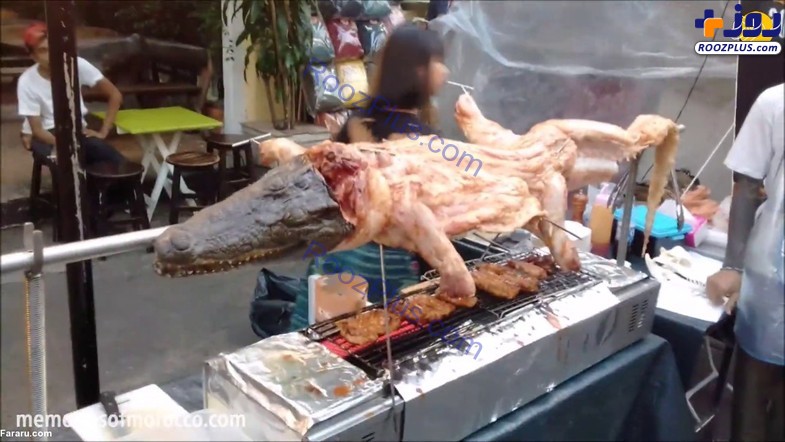 فروش گوشت کباب شده تمساح! +تصاویر