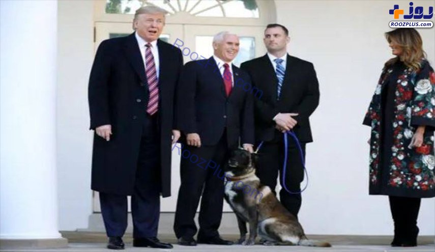 دیدار ترامپ و ملانیا با سگی که در عملیات کشتن ابوبکر البغدادی استفاده شد!