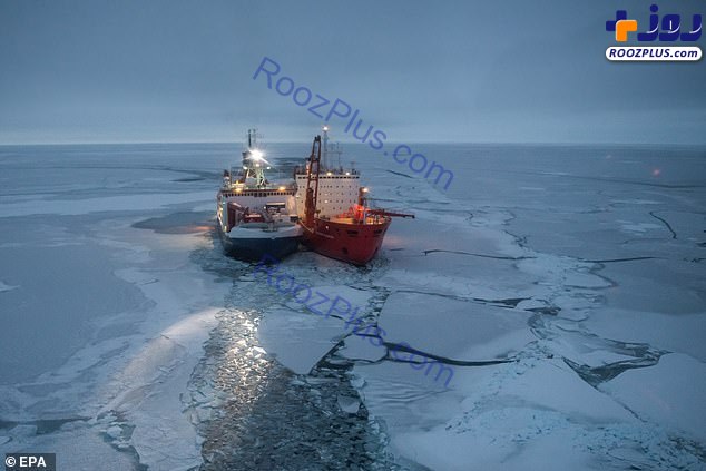 گیر افتادن در قطب جنوب به دلیل کروناویروس! + عکس