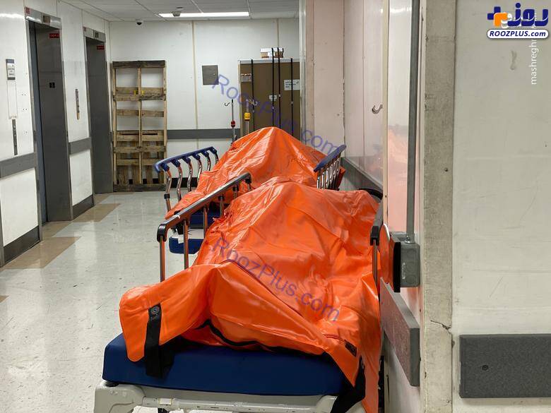 راهروهای بیمارستان مملو از قربانیان کرونا در نیویورک +عکس