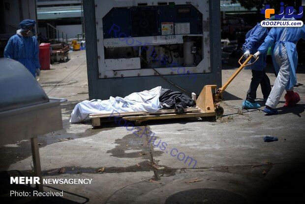 تصاویری عجیب از اجساد رها شده قربانیان کرونا در خیابان