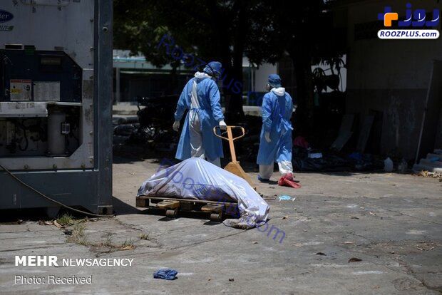 تصاویری عجیب از اجساد رها شده قربانیان کرونا در خیابان