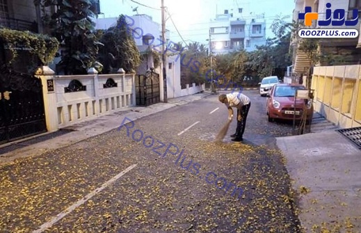 تمیز کردن خیابان توسط آقای وزیر و همسرش+عکس