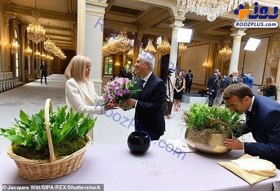 خرید گل‌های لاکچری برای رئیس جمهور گران تمام شد +عکس