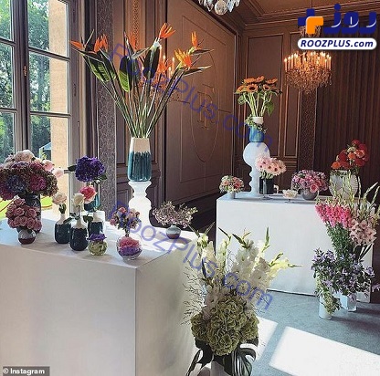 خرید گل‌های لاکچری برای رئیس جمهور گران تمام شد +عکس