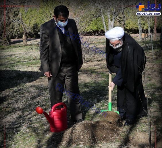 روحانی یک نهال سیب در باغ گیاه‌شناسی غرس کرد +عکس