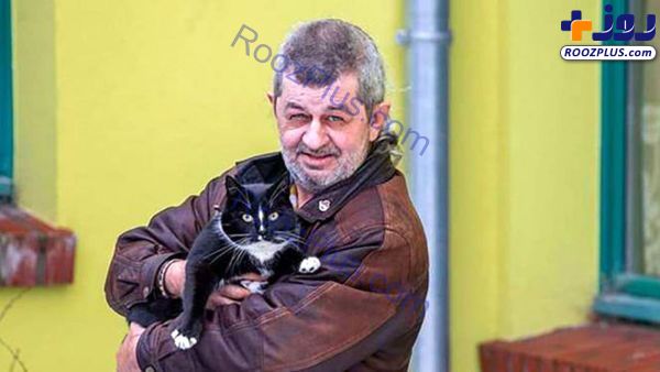 رد صلاحیت شدن یک گربه در انتخابات شهرداری آلمان/عکس