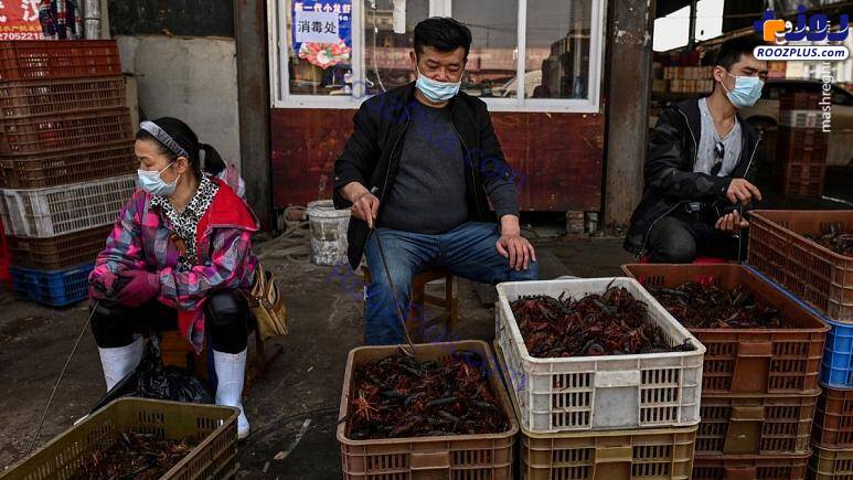 بازار ووهان چین مرکز شیوع کرونا در جهان دوباره باز شد! +عکس
