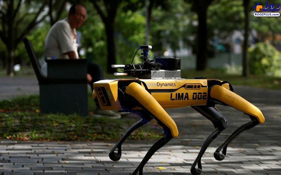 سگ روباتی مامور گشت فاصله گذاری اجتماعی در سنگاپور +عکس