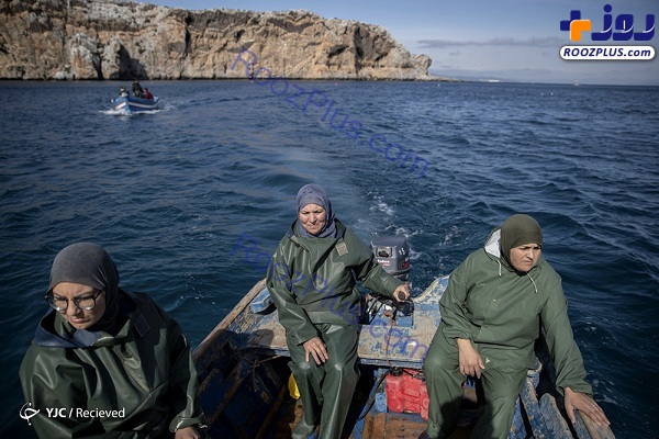 عکس/زنان ماهیگیر مراکش