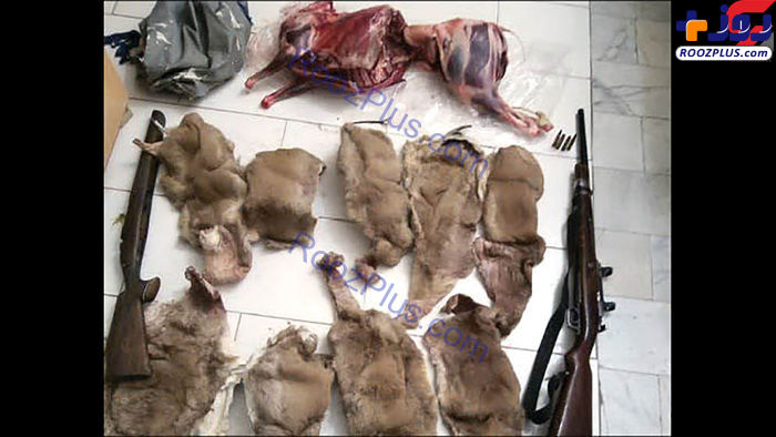 بی رحم ترین شکارچی در کرمان + عکس 16+