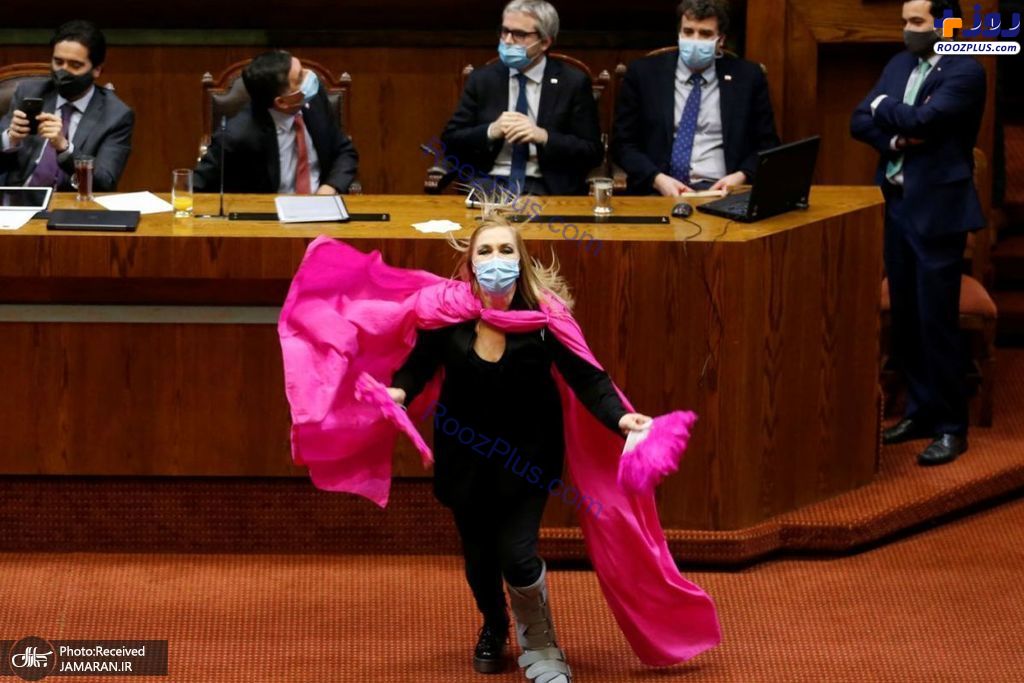 شیوه عجیب اعتراض نماینده پارلمان شیلی +عکس