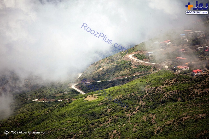 عکس/ سفر به بالای اقیانوسی از ابر در ۲۰۰ کیلومتری تهران