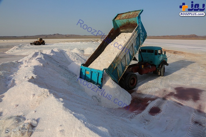 برداشت نمک از دریاچه «حوض سلطان» قم +عکس
