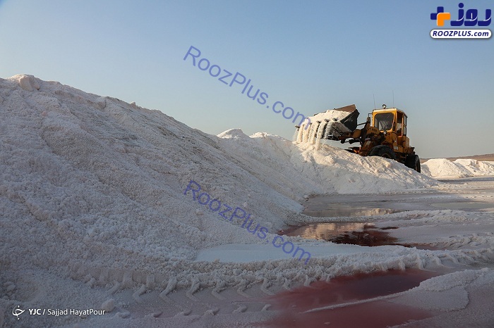 برداشت نمک از دریاچه «حوض سلطان» قم +عکس