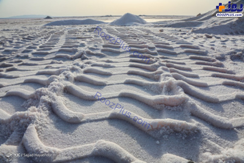عکس/ برداشت نمک از دریاچه «حوض سلطان» قم
