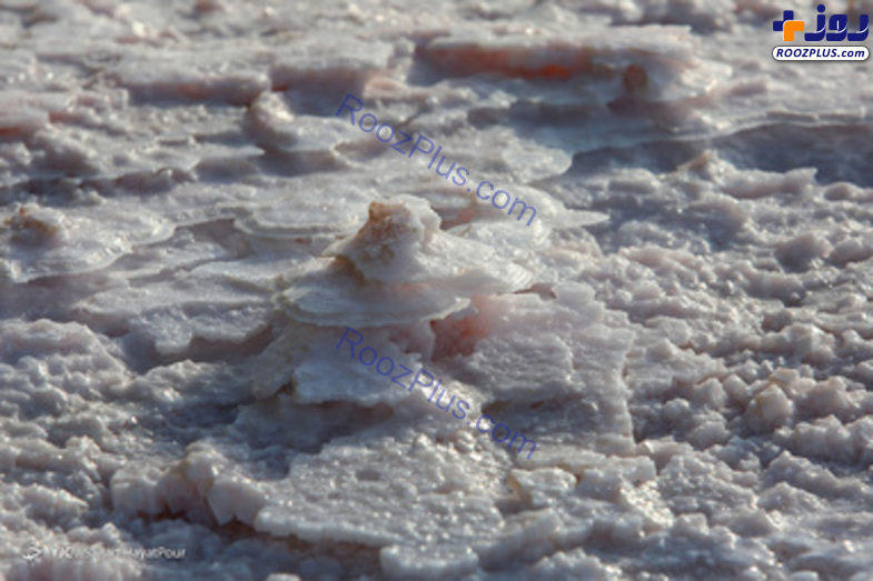 عکس/ برداشت نمک از دریاچه «حوض سلطان» قم