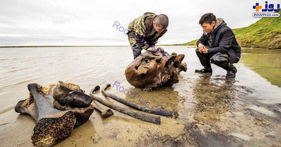 عکس/ کشف موجود پشمالو و نامتعارف در دریاچه سیبری
