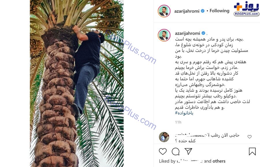 وزیر جوان روحانی بالای درخت نخل +عکس