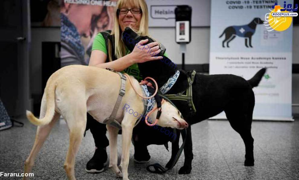 استفاده از سگ‌های کرونایاب در فرودگاه هلسینکی +عکس